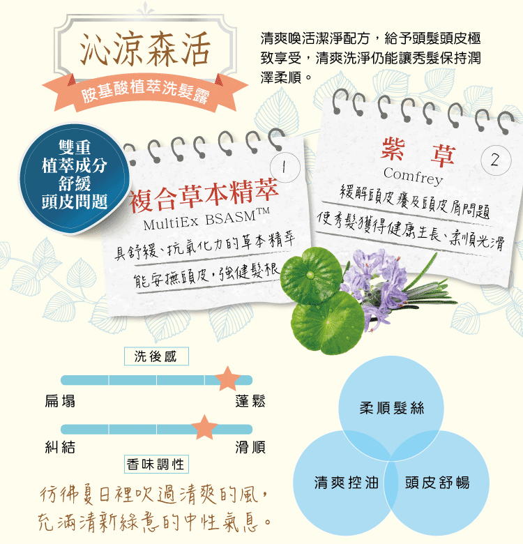 【蜂王】沁涼森活 胺基酸植萃洗髮露